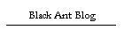 Black Ant Blog