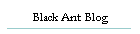 Black Ant Blog